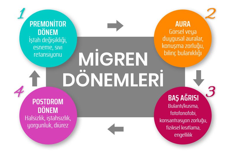 migren donemleri