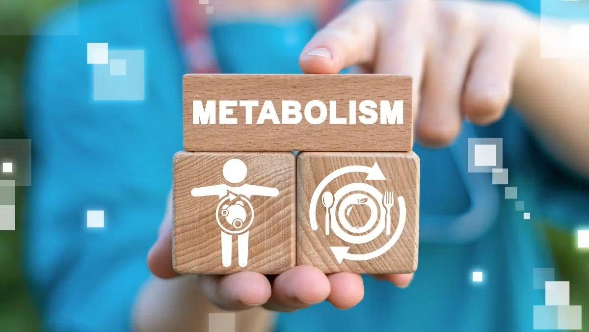 Metabolizma Nedir? İnsan vücudunda temel yaşam faaliyetlerine destek olma amacı